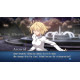 Melty Blood: Type Lumina (English)