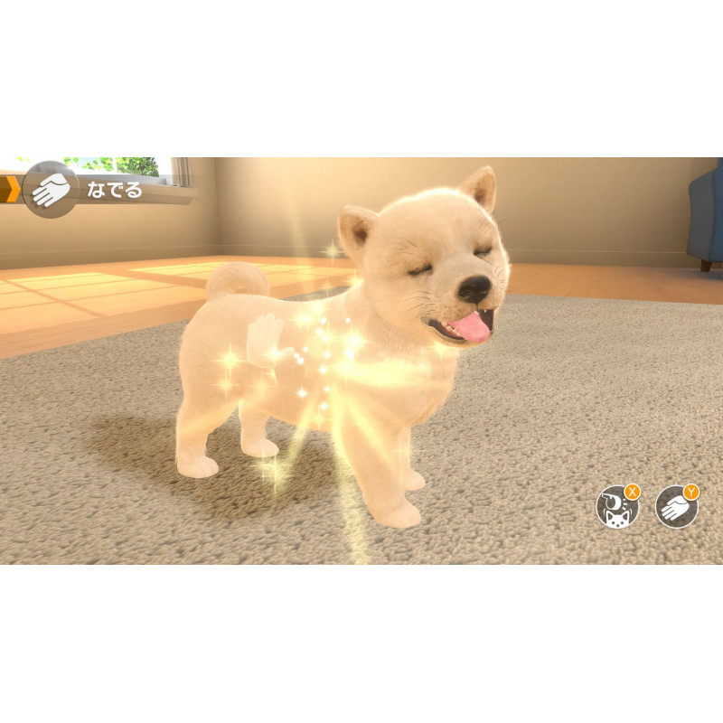 Little Friends: Dogs & Cats