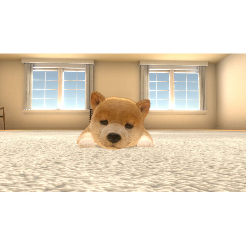 Little Friends: Dogs & Cats