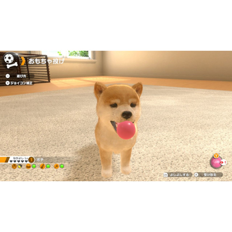 Little Friends: Dogs & Cats
