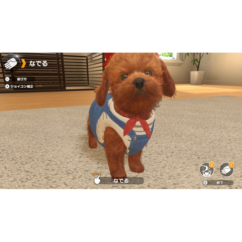 Little Friends: Dogs & Cats
