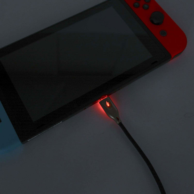 Light UP! Type-C Cable for Nintendo Switch (2 m)