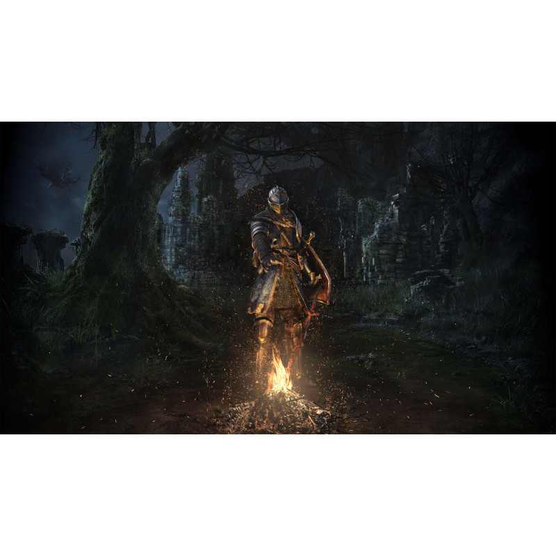 Dark Souls Remastered (Chinese Subs)