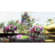 Rare Replay (English)