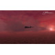 Flight Environment X (DVD-ROM)
