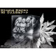 Nitroplus Blasterz Heroines Infinite Duel [Limited Edition]